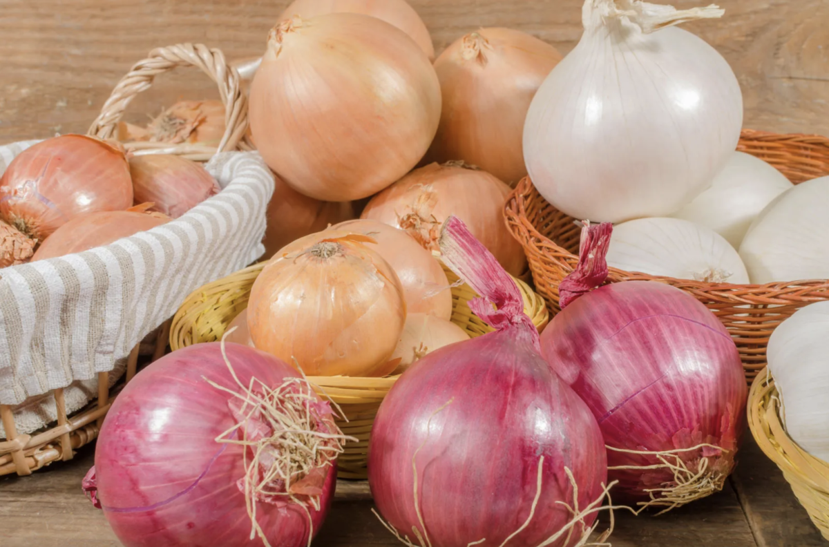 An assortment of differently colored onions — all of which taste terrible.